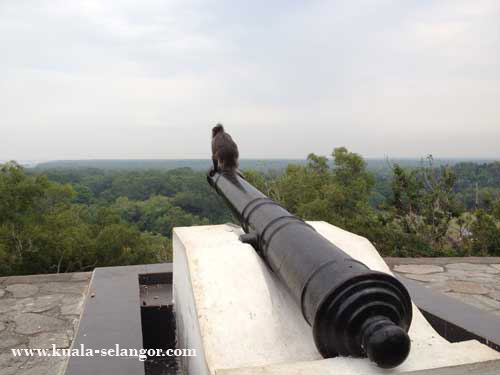 Monkey and Cannon at Bukit Melawati. Monkey and Cannon at Bukit Melawati.