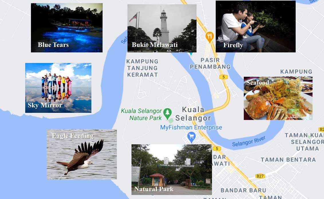 Kuala Selangor Travelling Attraction - Seafood, Bukit Melawati, Natural Park, Eagle Feeding, Sky Mirror, Blue Tears and Firefly